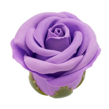 Midnight Magic Couples Kit - rose